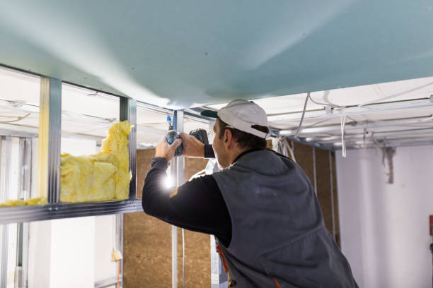 Best Eco-Friendly Insulation in Chevy Chase Heights, PA