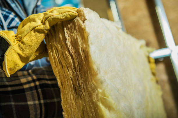 Reliable Chevy Chase Heights, PA Insulation Contractor Solutions